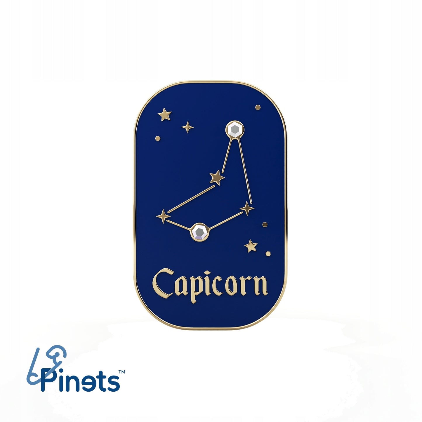 Znak zodiaku Koziorożec (Capicorn) - przypinka z cyrkoniami wykończona 14K złotem
