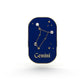 Znak zodiaku Bliźnięta (Gemini) - przypinka z cyrkoniami wykończona 14K złotem
