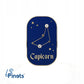 Znak zodiaku Koziorożec (Capicorn) - przypinka z cyrkoniami wykończona 14K złotem