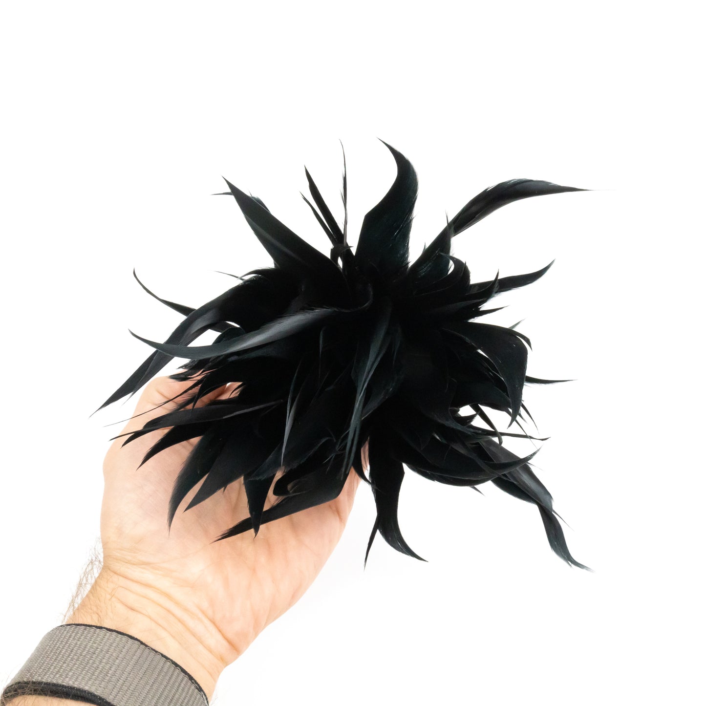 Pióra gęsie czarne - zapinka do kapelusza